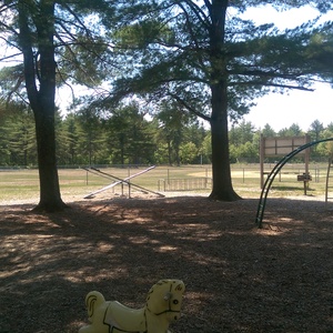 IMAG0562.jpg