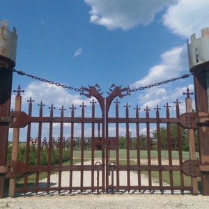 IMAG0572.jpg