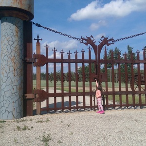 IMAG0578.jpg