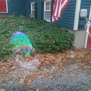 IMAG0024.jpg