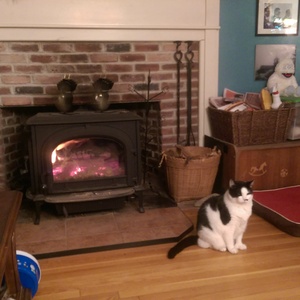 IMAG0074.jpg