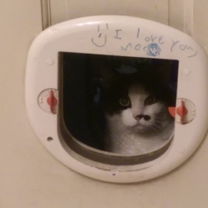 IMAG0104.jpg