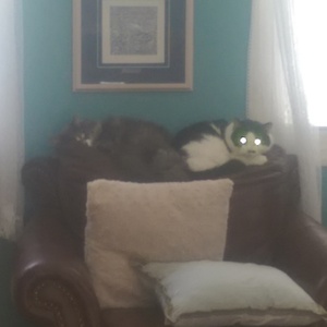 IMAG0359.jpg
