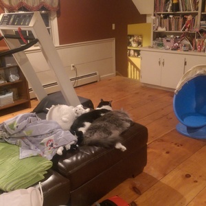 IMAG0383.jpg