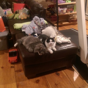 IMAG0385.jpg