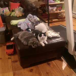 IMAG0386.jpg