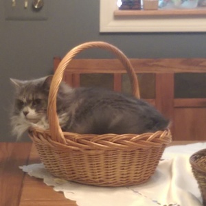 IMAG0555.jpg