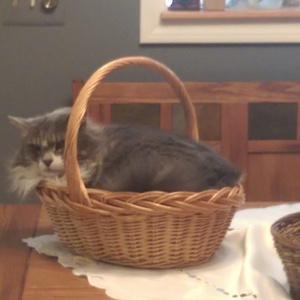 IMAG0556.jpg