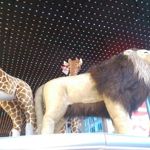 IMAG0610.jpg