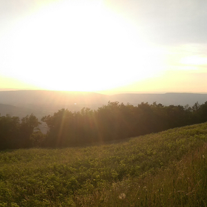 IMAG0617.jpg