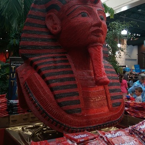 IMAG0633.jpg