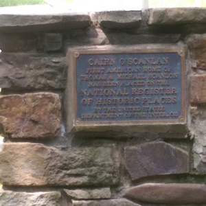 IMAG0649.jpg