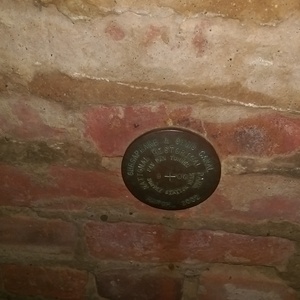 IMAG0653.jpg