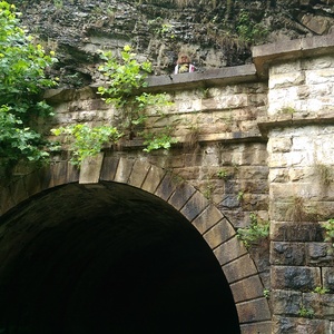 IMAG0656.jpg