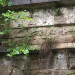 IMAG0658.jpg