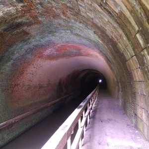IMAG0659.jpg