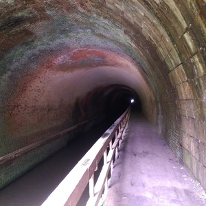 IMAG0660.jpg