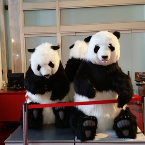 20150621_200150.jpg