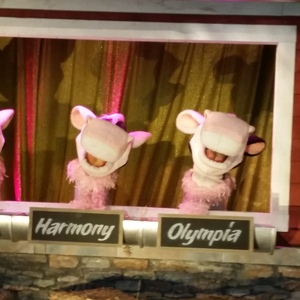 20150625_210044.jpg