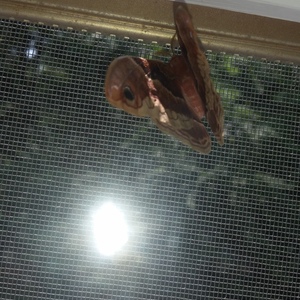 20150712_112701.jpg