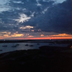 20150827_052955.jpg