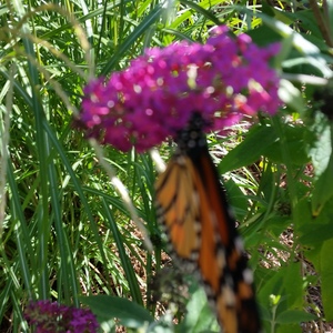20150918_161700.jpg