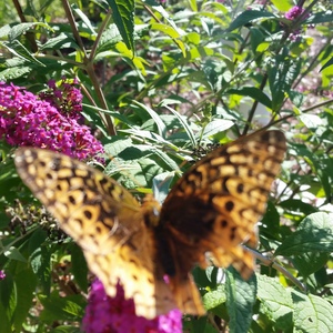 20150918_161709.jpg