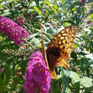 20150918_161712.jpg