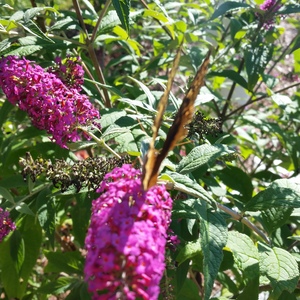 20150918_161713.jpg