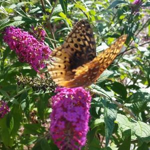20150918_161714.jpg