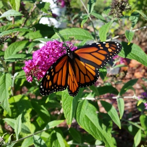 20150918_161756.jpg