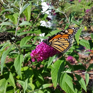 20150918_161804.jpg