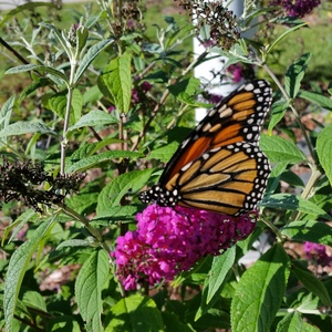 20150918_161813.jpg