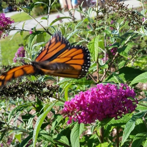 20150918_161820.jpg