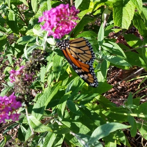 20150918_162531.jpg