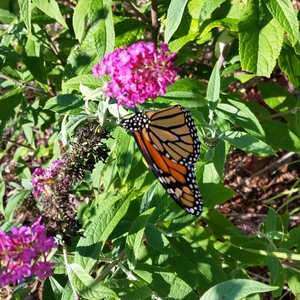 20150918_162532.jpg