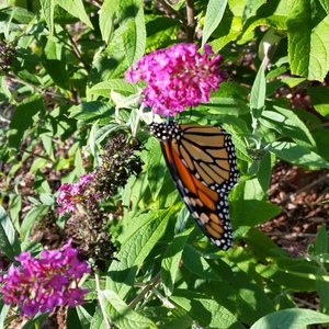 20150918_162533.jpg