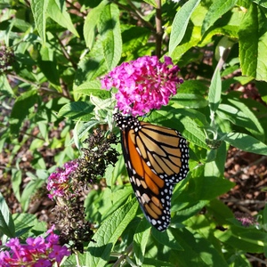 20150918_162534.jpg