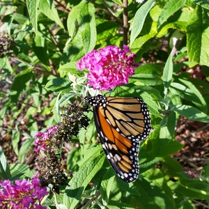 20150918_162535.jpg