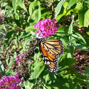 20150918_162536.jpg