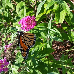 20150918_162538.jpg