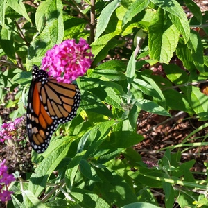 20150918_162539.jpg
