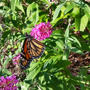 20150918_162540.jpg