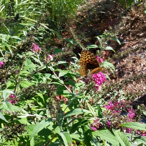 20150918_163315.jpg