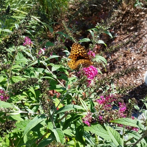 20150918_163317.jpg