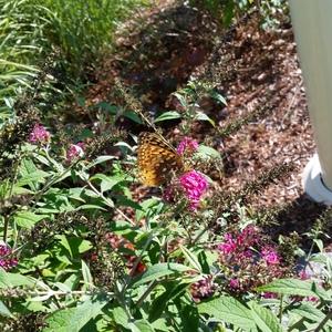 20150918_163321.jpg