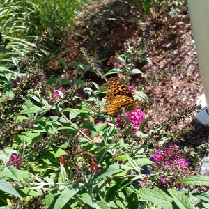 20150918_163323.jpg
