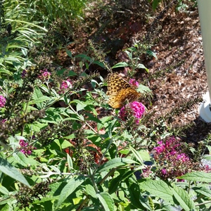 20150918_163325.jpg