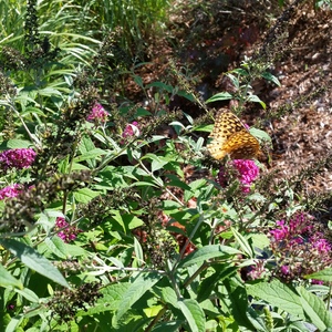 20150918_163326.jpg