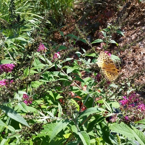20150918_163329.jpg